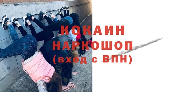 гидра Алексин