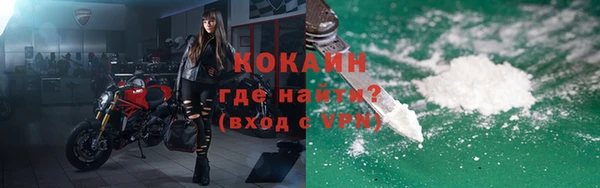 стаф Арсеньев