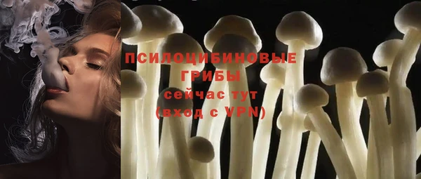 твердый Алексеевка