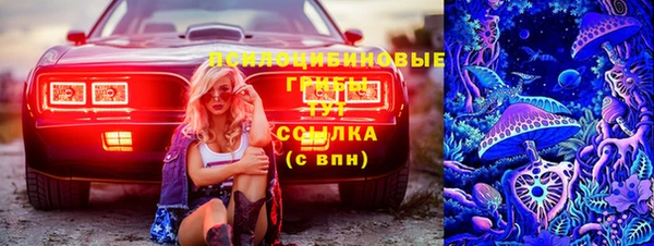 apvp Покров