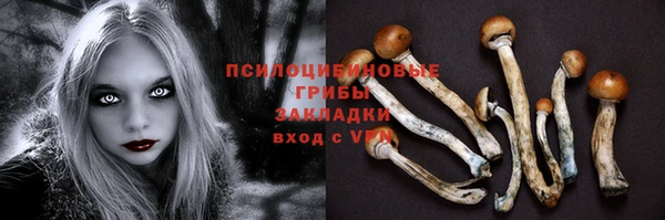 твердый Алексеевка